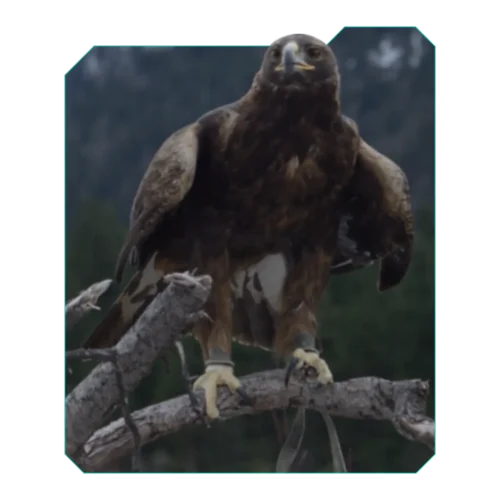 AllDęte czas teledyski stockowe