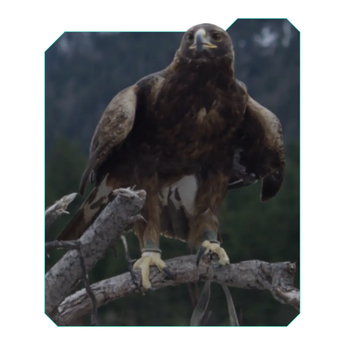 AllDęte czas teledyski stockowe