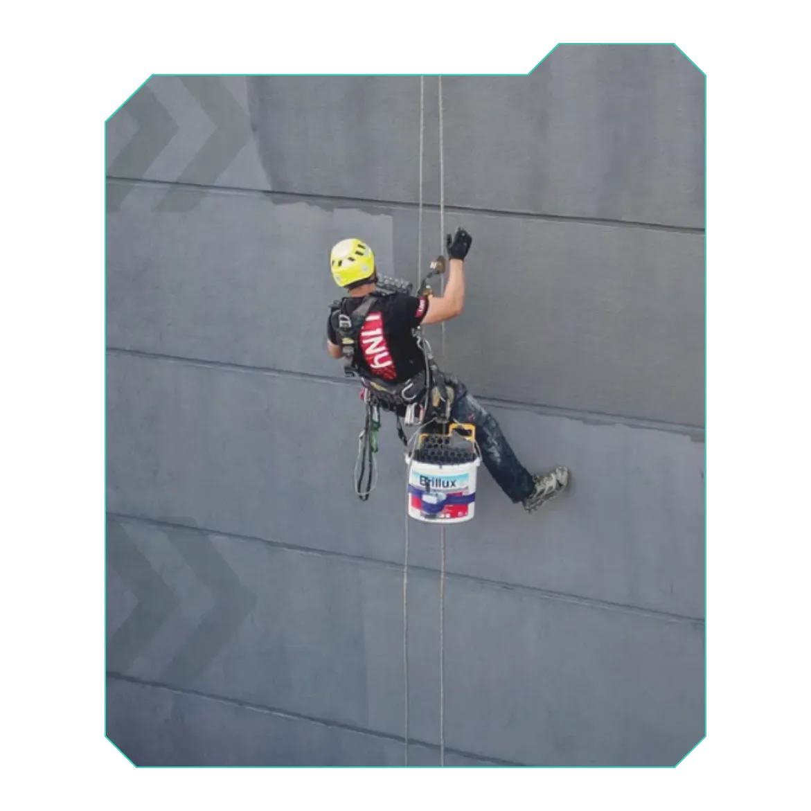 Reklama video firmy Liny